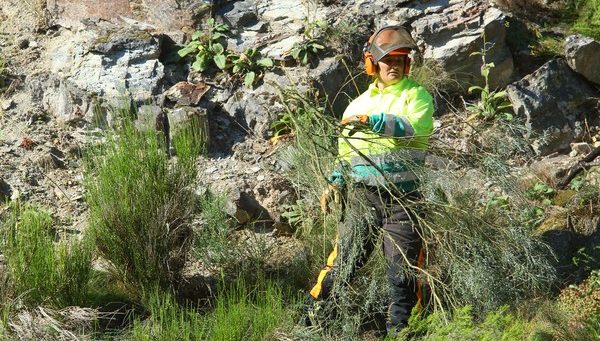 Azucena Nogueira, única integrante femenina de las cuadrillas del plan de empleo forestal local de la Diputación de León