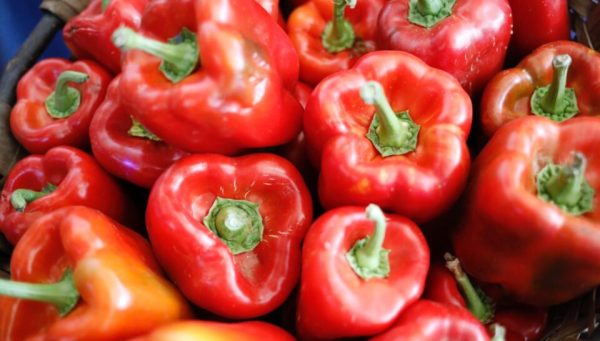 Pimientos del Bierzo