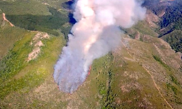 incendios forestales