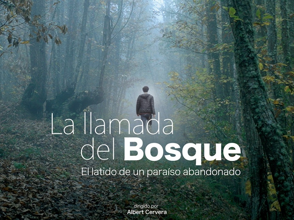 La llamada del Bosque