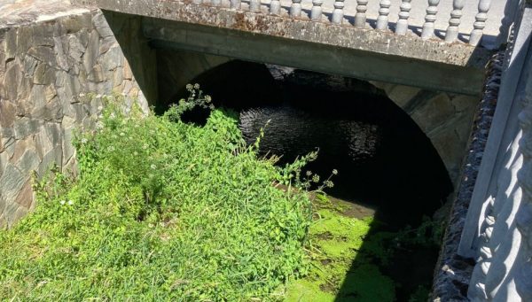 Arroyo de la Vega del Rey en Cacabelos