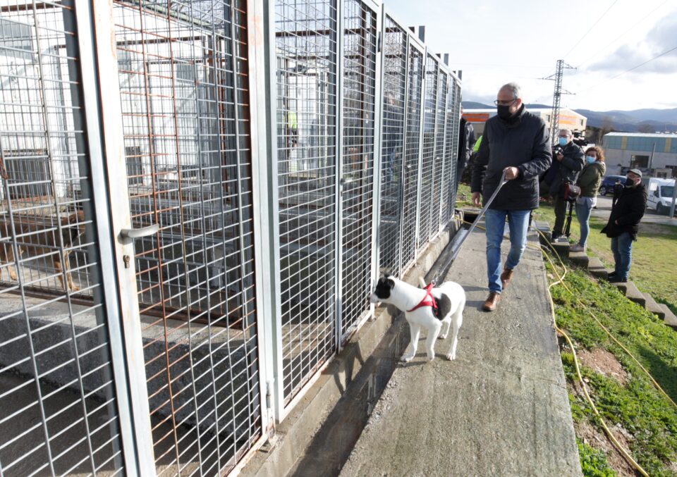 Reunión cómo utilizar R Cerca de 200 perros pasaron a lo largo de 2021 por el albergue canino  municipal de Ponferrada