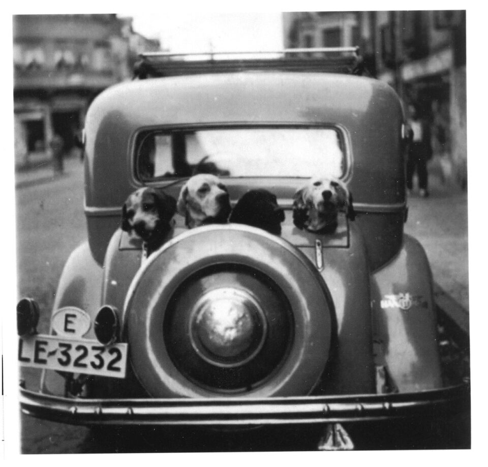 Gentileza de la señora viuda de D Jesus Morán. Este coche lo utilizaba Suso para ir de caza. La foto está tomada en la avenida de la Puebla dirección a la parte alta. Año 1934 / Amalita Ruiz