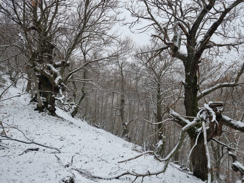 Peñalba de Santiago bajo la nieve / La Cantina de Peñlaba