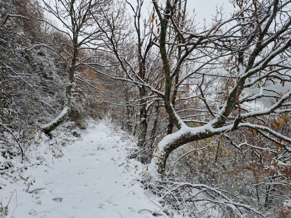 Peñalba de Santiago bajo la nieve / La Cantina de Peñlaba