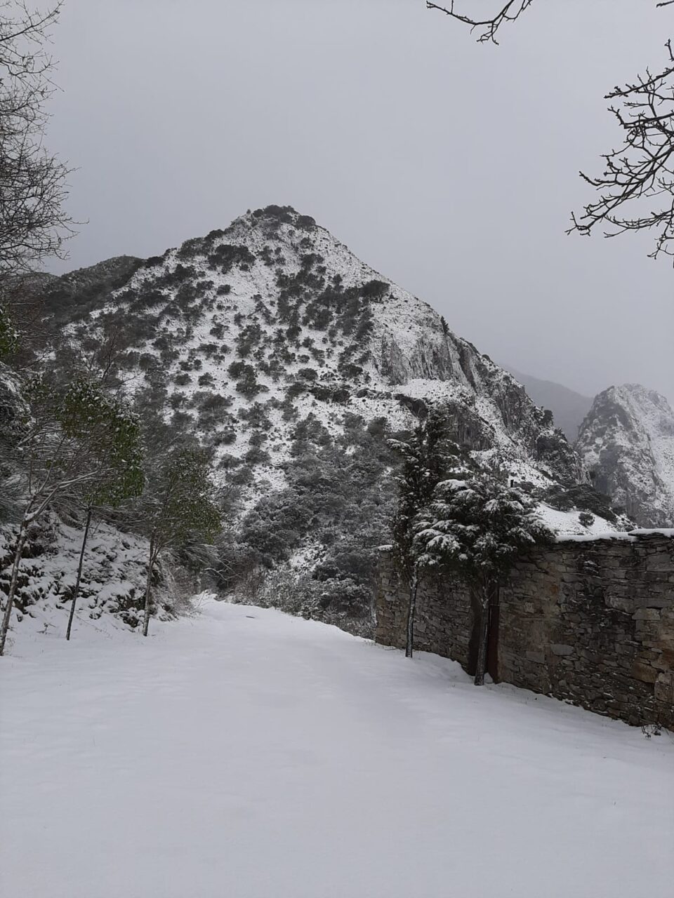 Peñalba de Santiago bajo la nieve 