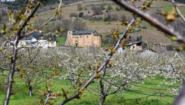 Cerezos en flor en Corullón / Turismo de Corullón