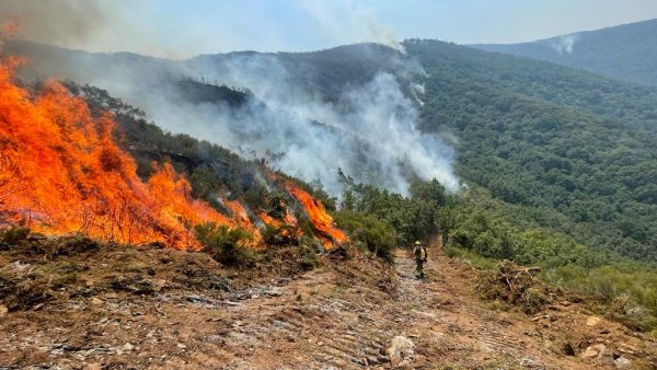 Brigadas en el incendio de Montes de Valdueza. / BrifTabuyo