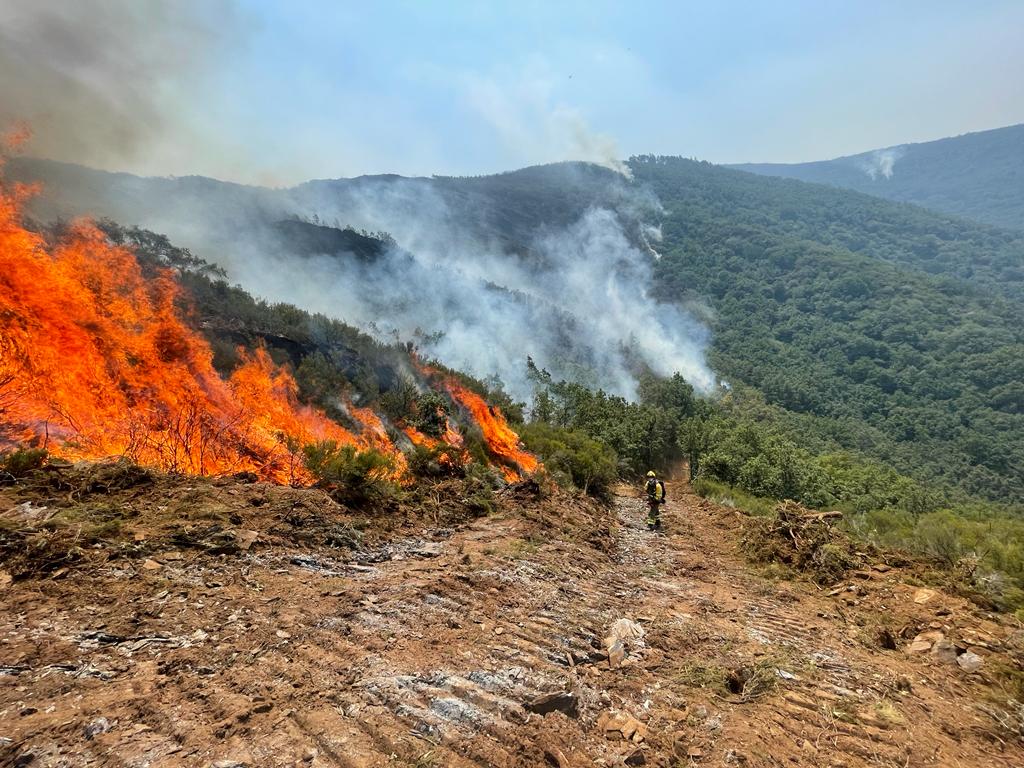 Brigadas en el incendio de Montes de Valdueza. / BrifTabuyo