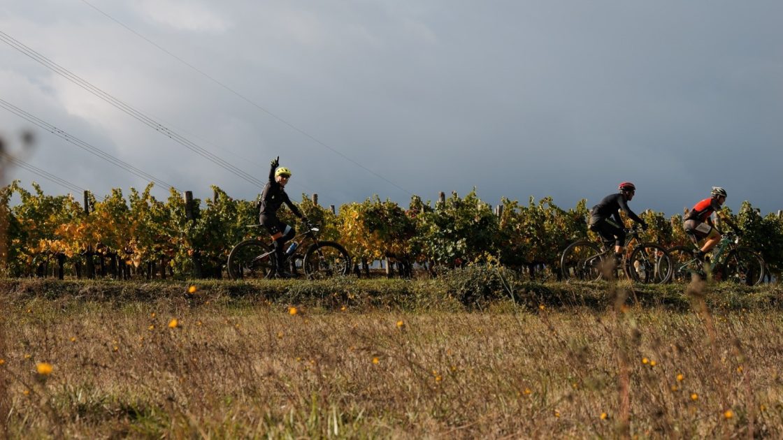 BTT Ruta del Vino de Valdeorras