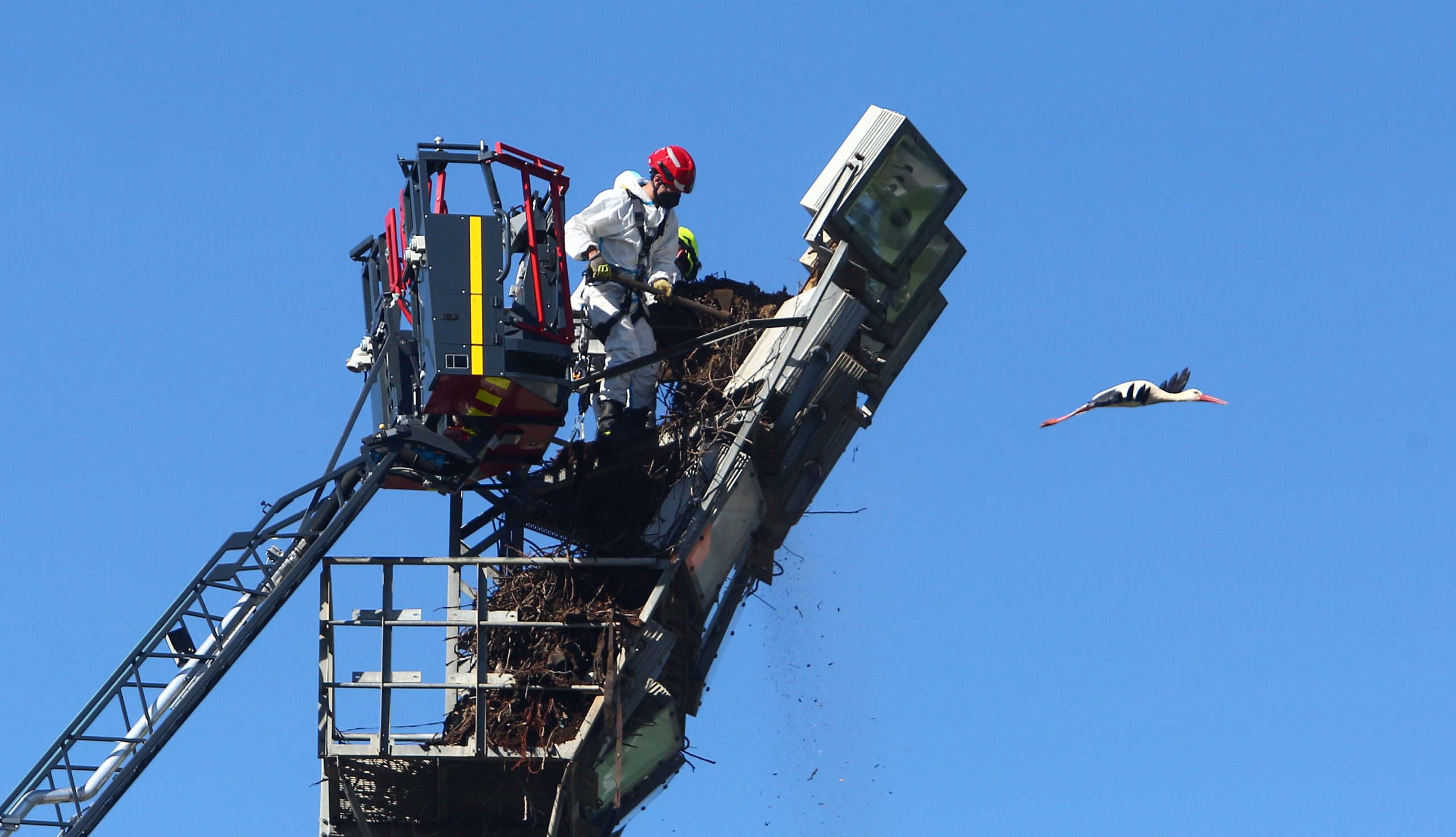 Los bomberos de Ponferrada quitan varios nidos de cigüeña de las torretas de iluminación del campo de fútbol de Fuentesnuevas