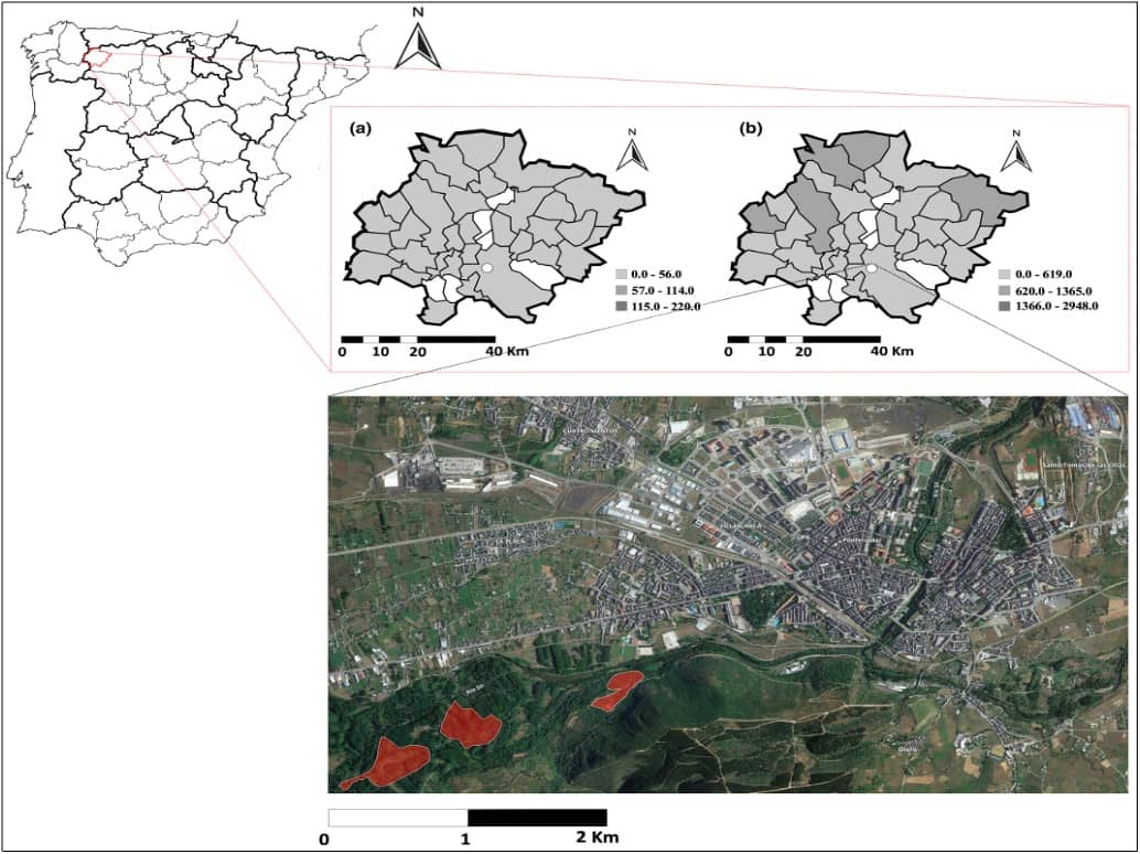 Mapas de densidad de explotaciones ganaderas (a) y cabezas de ganado (b) (unidades por Km2) en la comarca de El Bierzo a nivel de municipio, basados en el censo ganadero español de 2020, y zonas de muestreo de garrapatas de vida libre (sombreadas en rojo) en los alrededores de la ciudad de Ponferrada, noroeste de España, en 2021. La ubicación de la ciudad de Ponferrada se representa con un círculo blanco en los mapas de la comarca de El Bierzo. Se capturaron un total de 96 garrapatas, 30 Ixodes ricinus, 55 Dermacentor marginatus, 9 Rhipicephalus sanguineus s.l, 1 Rhipicephalus bursa, 1 Dermacentor reticulatus y ninguna del género Hyalomma