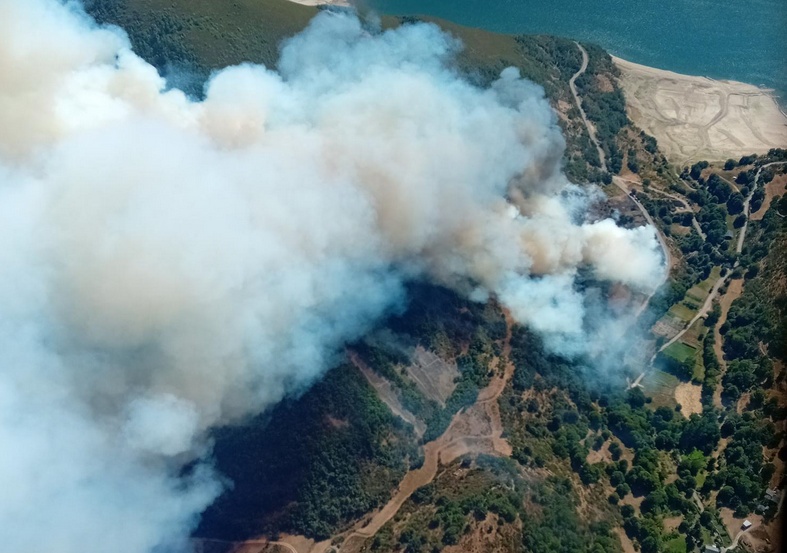 Incendio forestal en Matalavilla