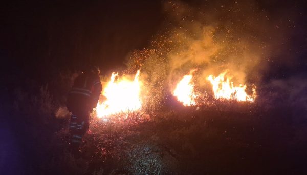 Incendio forestal en Bouzas
